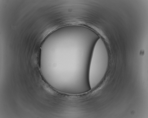 X0000093230889200709261507