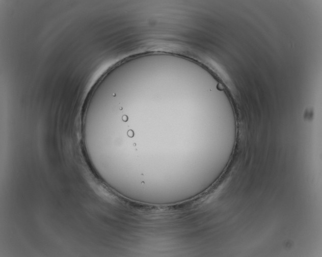 X0000093230891200709261507