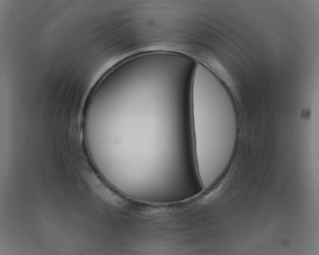 X0000093230892200709261507