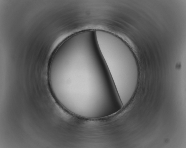 X0000093230894200709261507