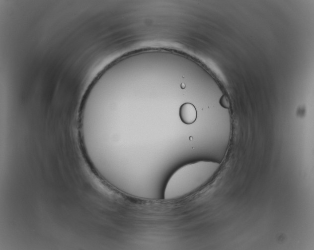 X0000093230895200709261507