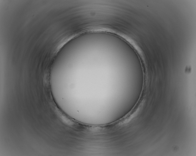 X0000093230897200709261507