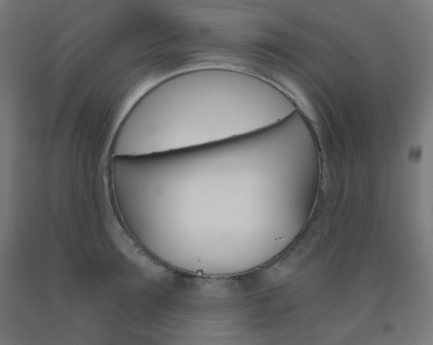 X0000093230899200709261507
