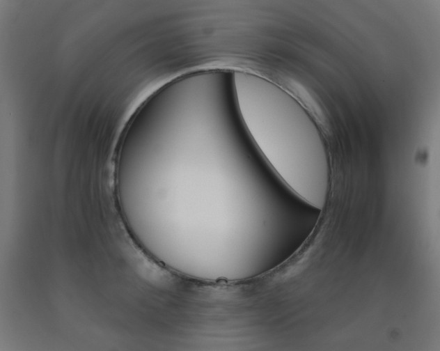 X0000093230900200709261507