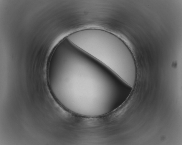 X0000093230902200709261507