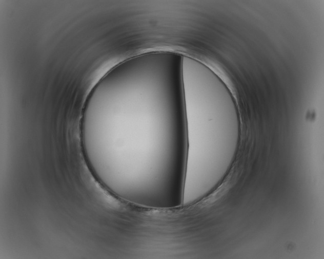 X0000093230906200709261506