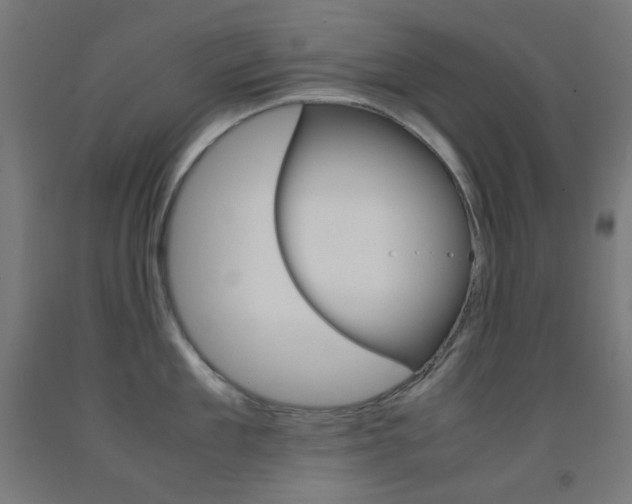 X0000093230909200709261506