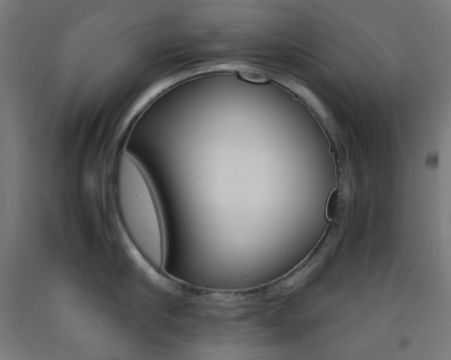 X0000093230910200709261506