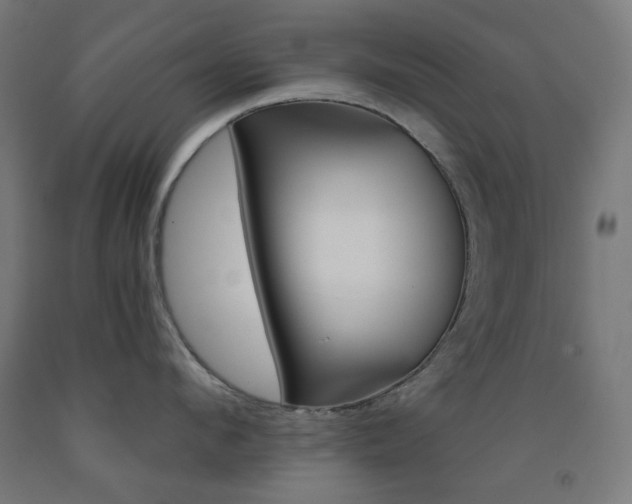 X0000093230912200709261506