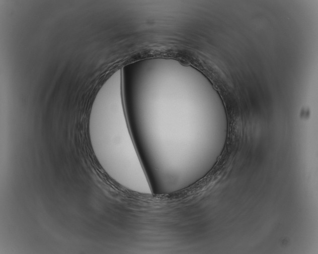 X0000093230914200709261506