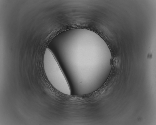 X0000093230915200709261506