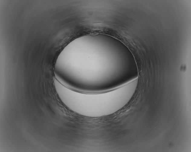 X0000093230916200709261506
