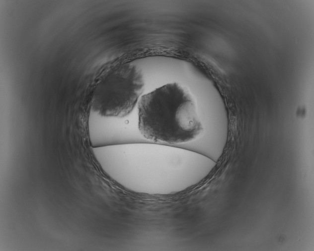 X0000093230917200709261506
