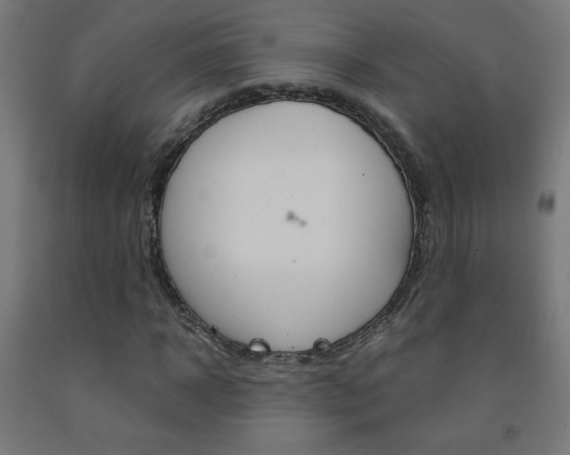 X0000093230918200709261506