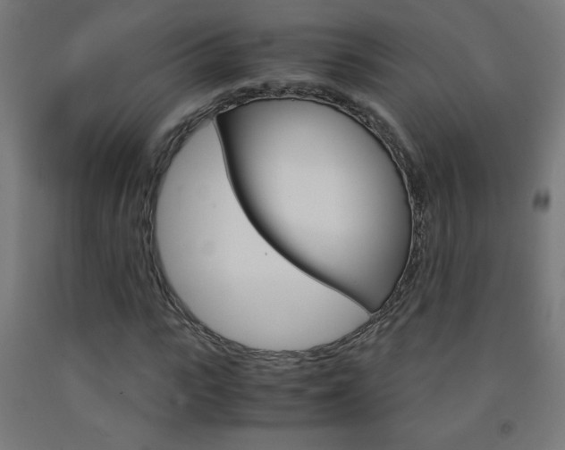 X0000093230919200709261506