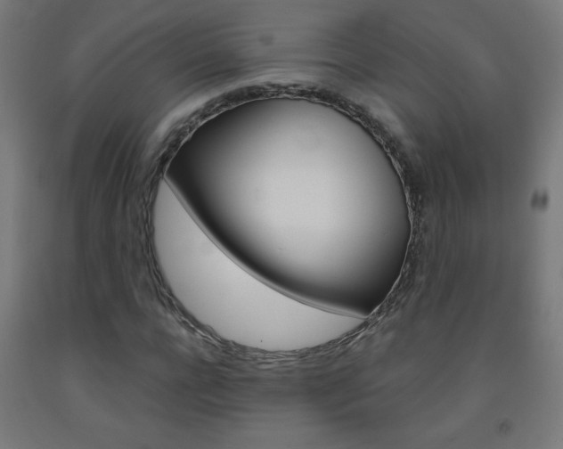 X0000093230920200709261506