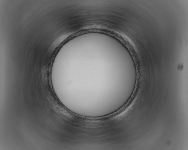 X0000093230921200709261506