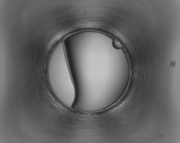 X0000093230922200709261506