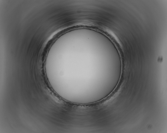 X0000093230923200709261506