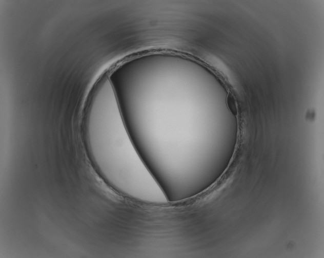 X0000093230924200709261506