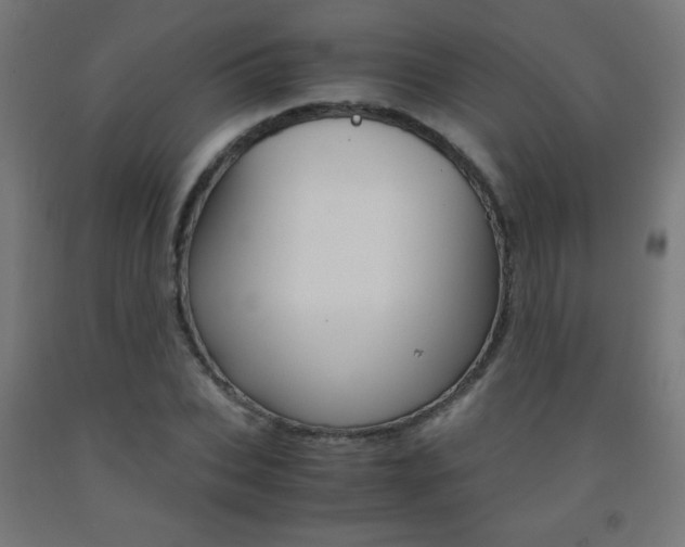 X0000093230927200709261506