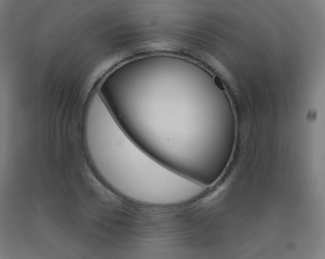 X0000093230930200709261506