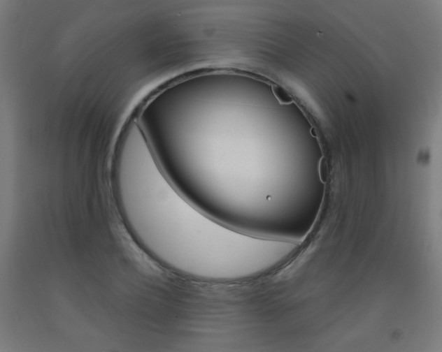 X0000093230932200709261506