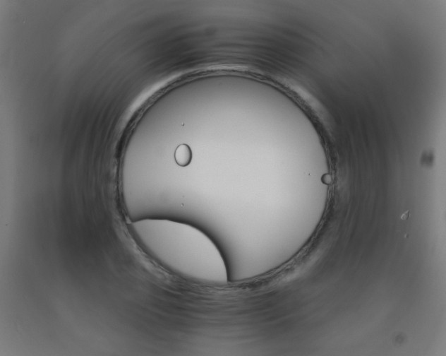 X0000093230933200709261506