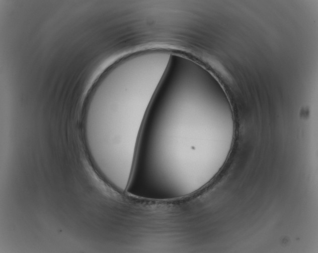 X0000093230934200709261506
