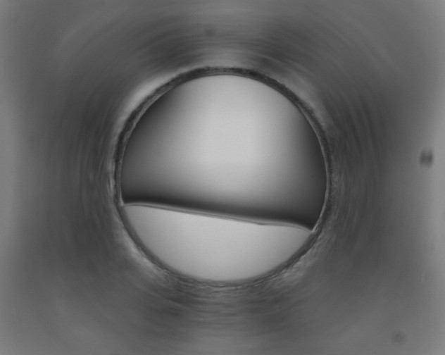 X0000093230935200709261506