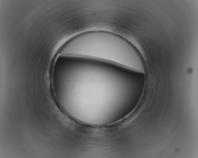 X0000093230936200709261506