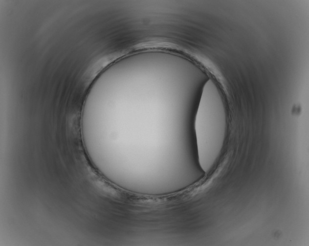 X0000093230937200709261506