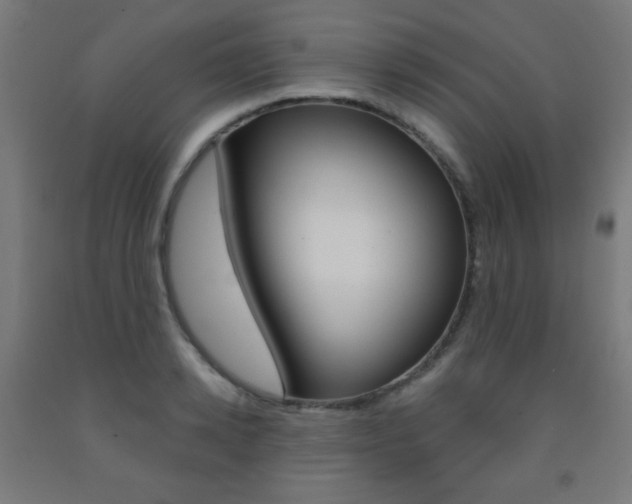 X0000093230942200709261506