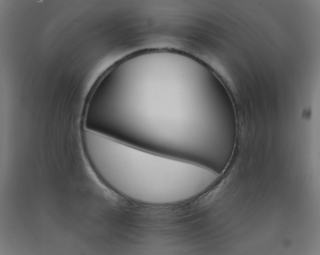 X0000093230943200709261506