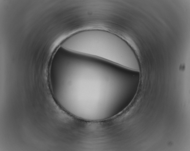 X0000093230944200709261506