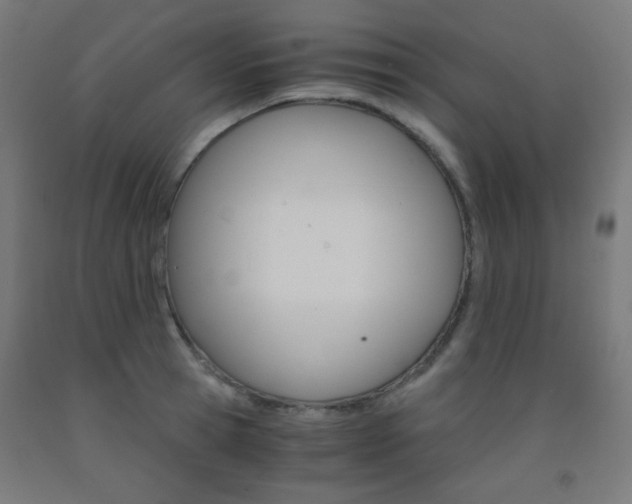 X0000093230945200709261506