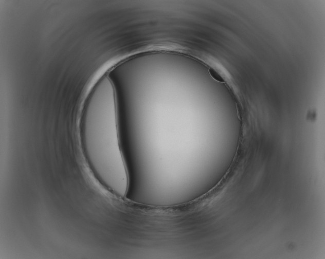 X0000093230947200709261506