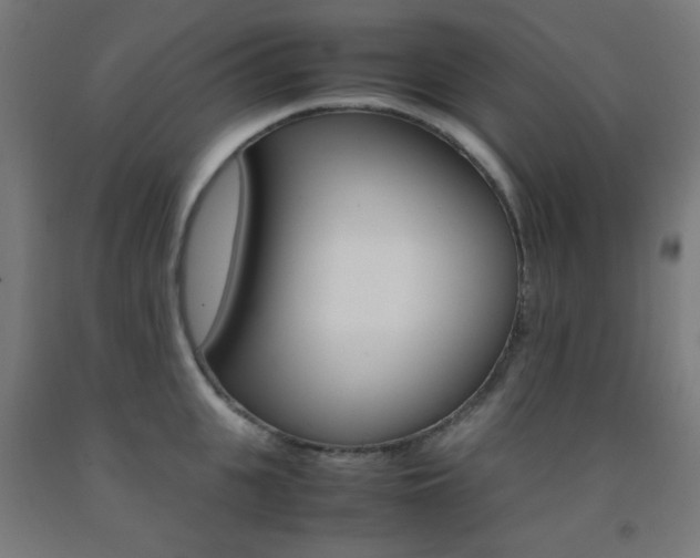 X0000093230951200709261506