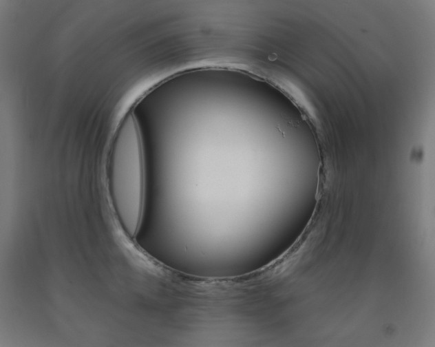 X0000093230952200709261506