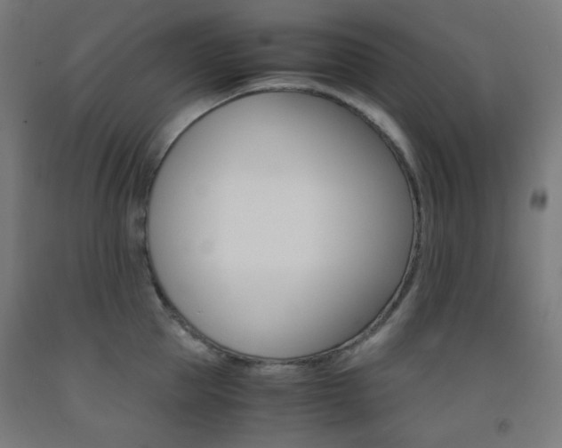X0000093230953200709261506