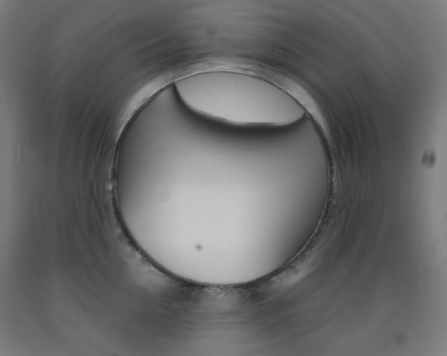 X0000093230954200709261506