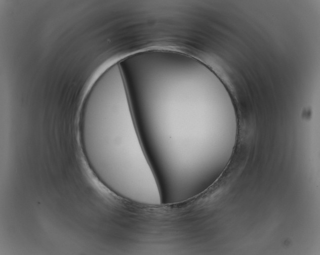 X0000093230955200709261506