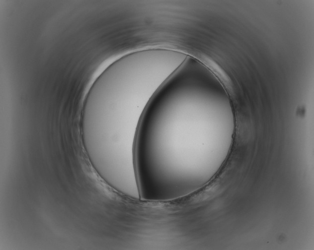 X0000093230956200709261506