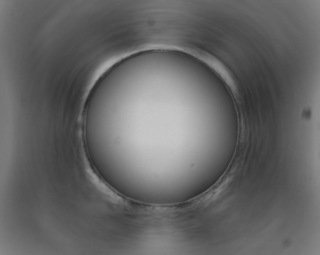 X0000093230958200709261506