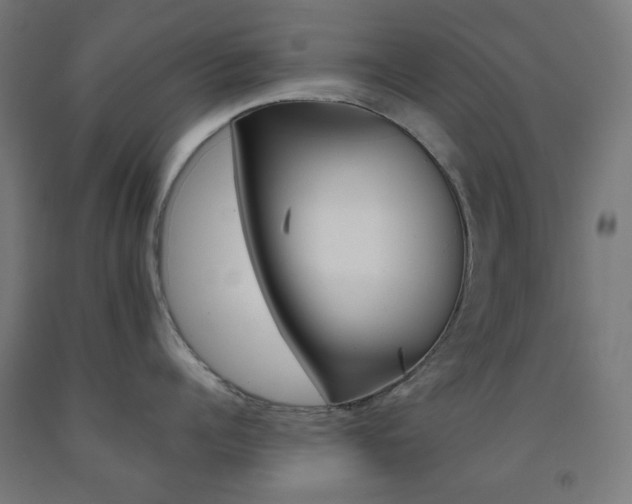 X0000093230960200709261506