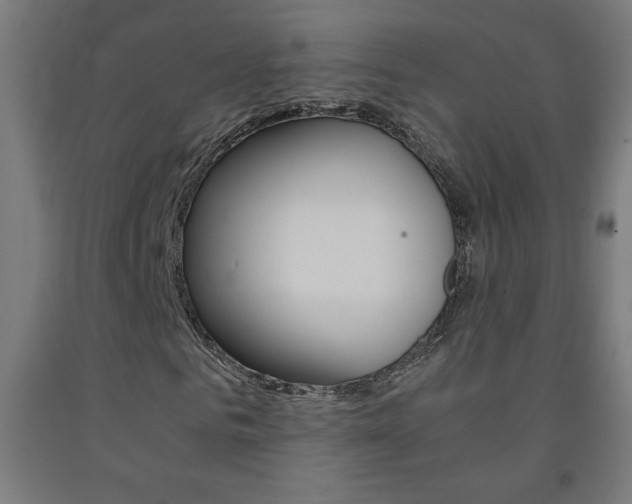 X0000093230961200709261506