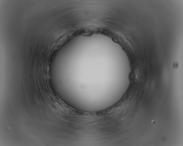 X0000093230964200709261506
