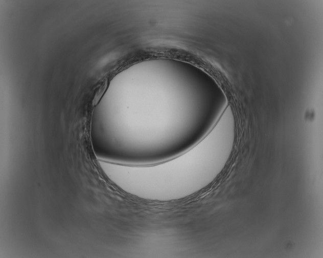 X0000093230965200709261506