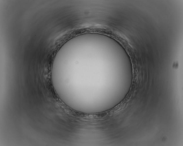 X0000093230966200709261506