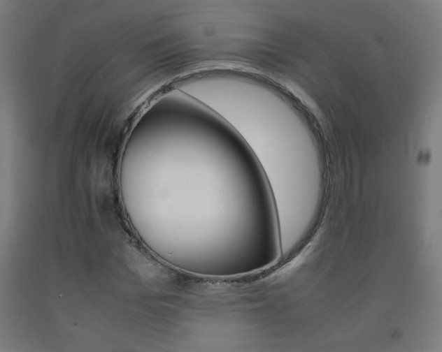 X0000093230969200709261506